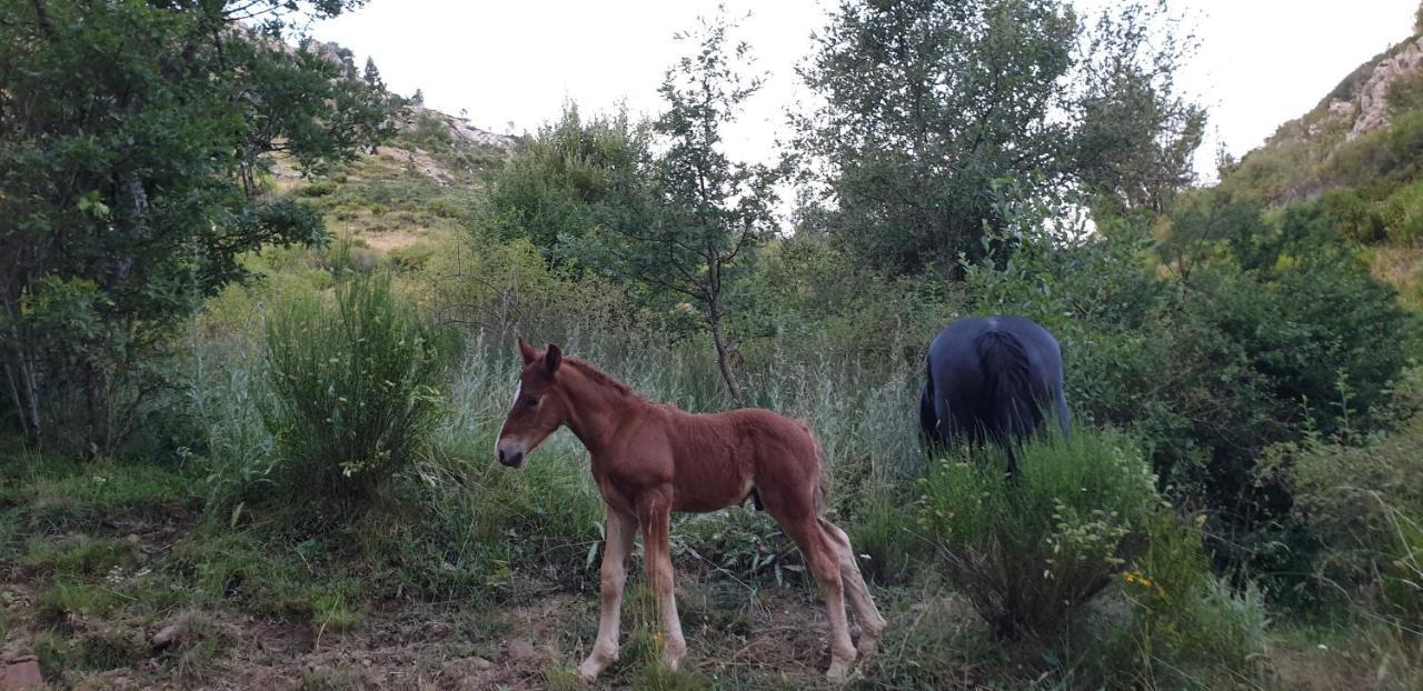 Casa Rural Carmen Luna Mallo de Luna Екстериор снимка
